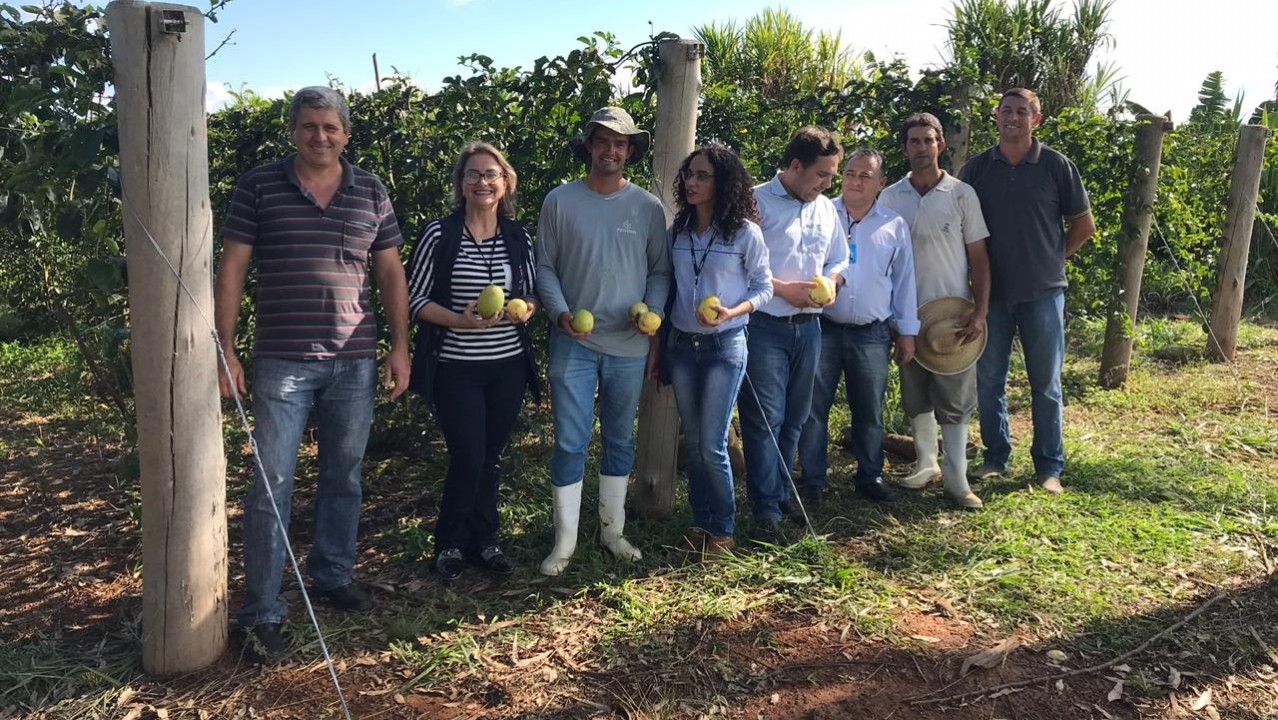 Projeto Jovens Fruticultores rende frutos em Ibaiti