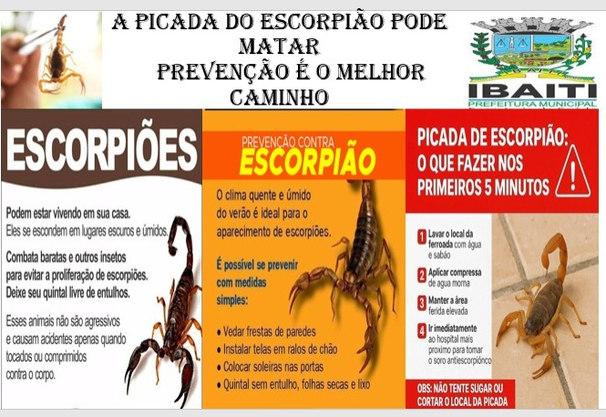 A PICADA DO ESCORPIÃO PODE MATAR